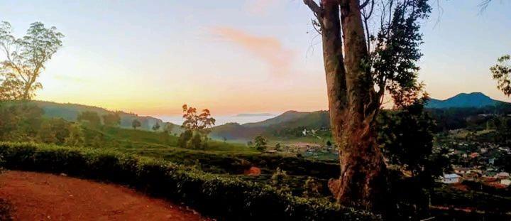 The Paulwood Cabana Home Stay Nuwara Eliya Exterior foto